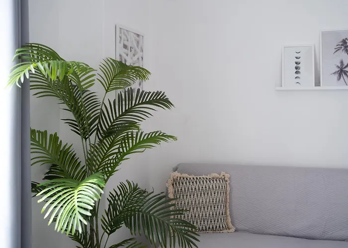 Regina Margherita Apartamento